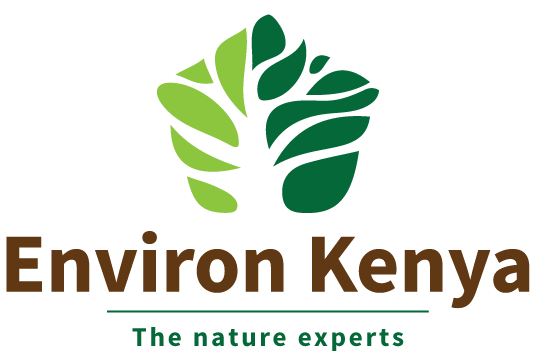 www.environkenya.com