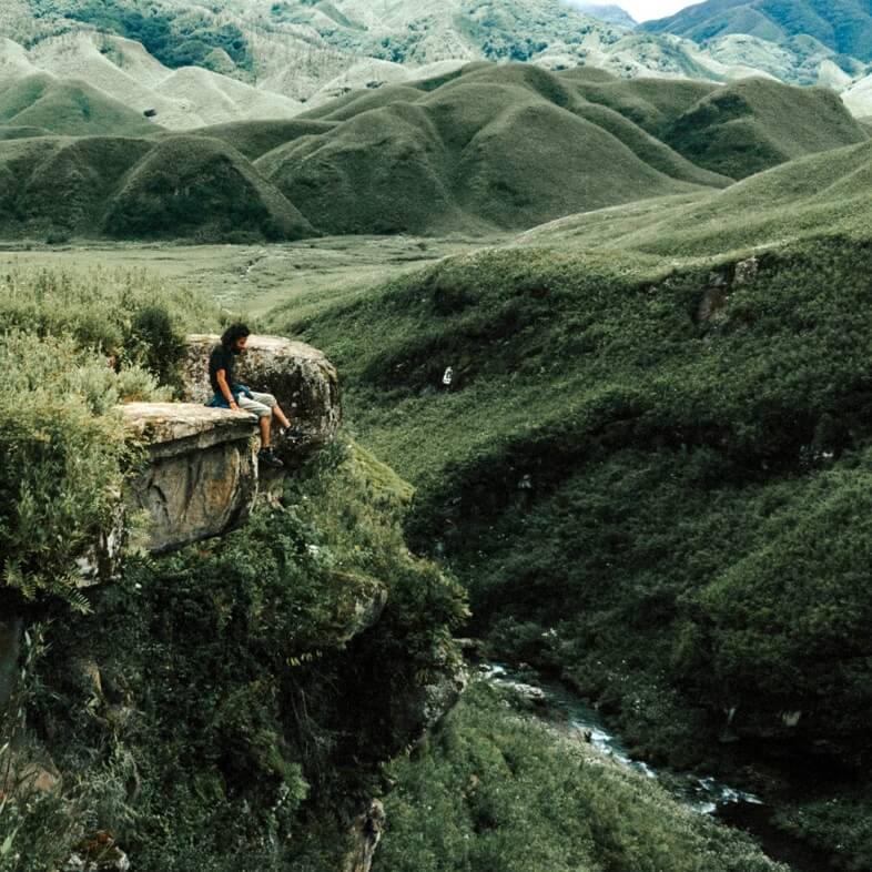 landscape