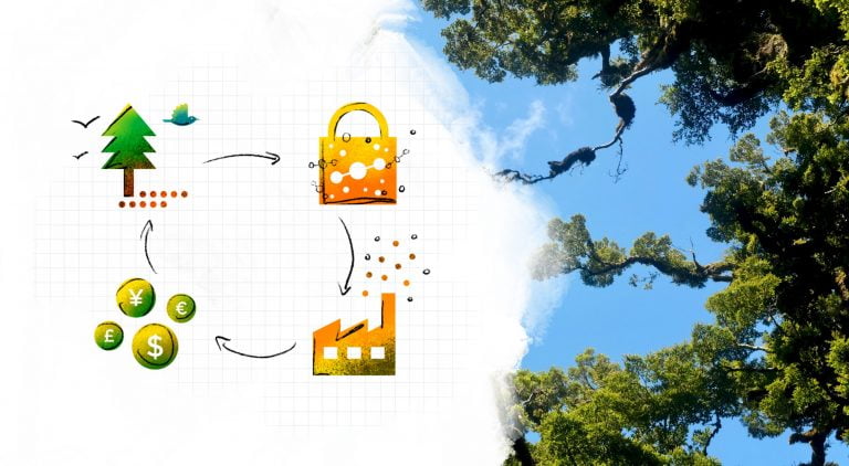 Carbon Offsets Development